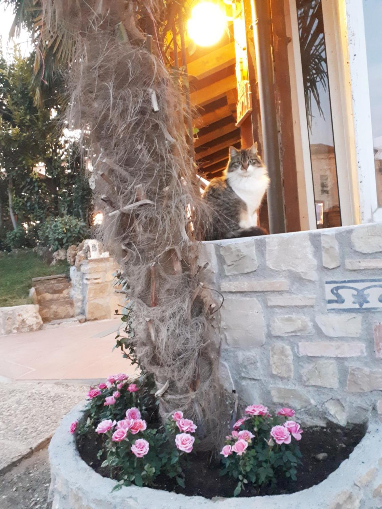 Bed and Breakfast Perla Gussago Экстерьер фото